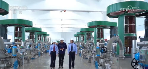 一站式跨境税收服务产品 赋能全球投资的信息通、政策通、服务通与教学服务